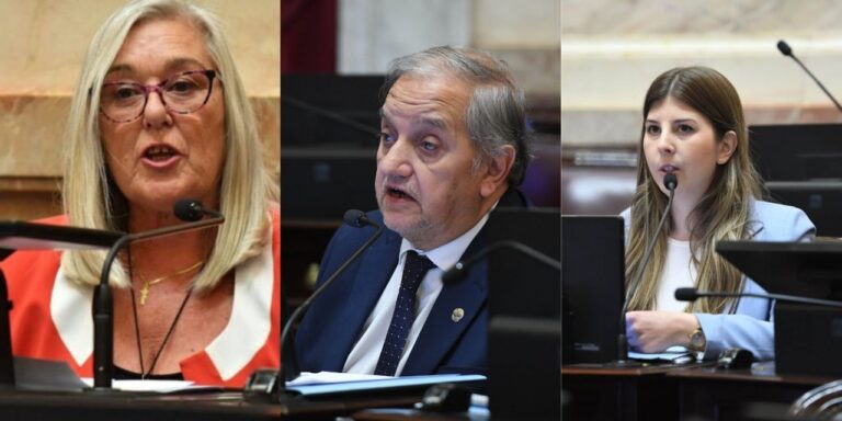 Cómo votaron los senadores de Chubut al proyecto de Reforma laboral del Gobierno