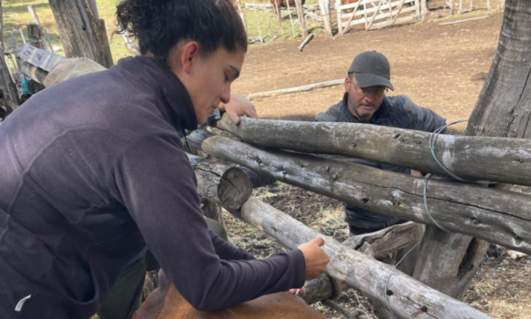 INTA asiste a productores afectados por incendios en la cordillera y evalúa el impacto en el ganado