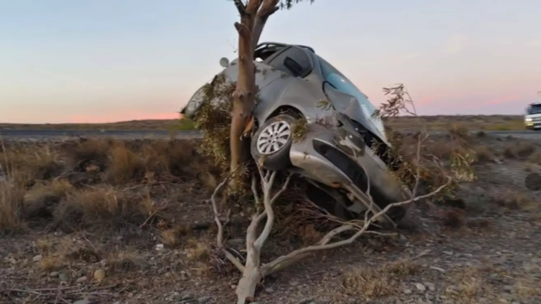 Un auto terminó incrustado contra un árbol en Ruta 25