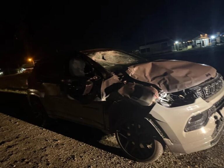 Una funcionaria judicial de Santa Cruz embistió a un caballo en la ruta y protagonizó un violento choque