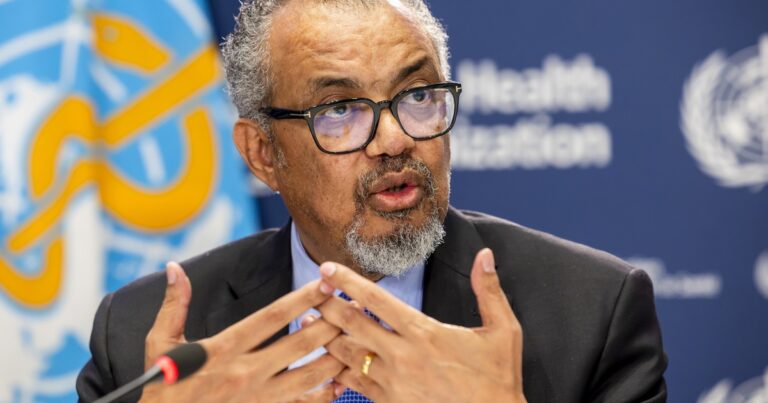 «Argentina será menos segura»: la dura advertencia del director de la OMS por la salida del organismo que ordenó Milei