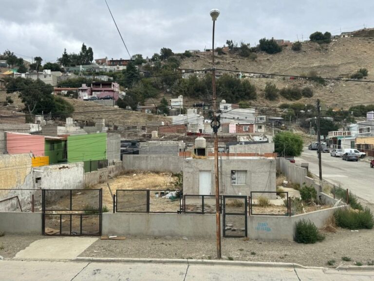 Aberrante caso de maltrato animal en Comodoro: revoleó un gato contra el piso y se negó a dar sus cachorros