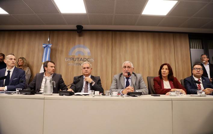 Representantes de CAME en reunión con comisiones de la Cámara de Diputados