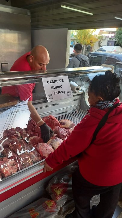 Mostrador de carnicería en Trelew con carne de burro, Chubut