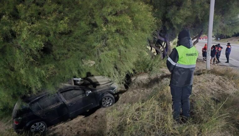 Vehículo accidentado entre tamariscos en la costanera de Puerto Madryn, con daños en la parte delantera.