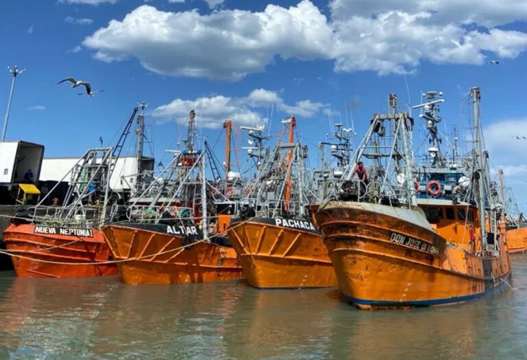 Imagen representativa del puerto pesquero y la costa de Chubut