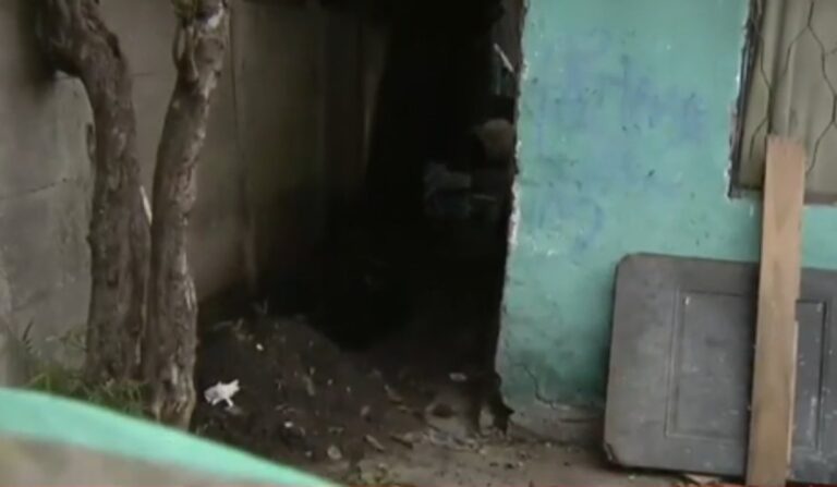 Operativo policial y pericial en una vivienda de Claypole, partido de Almirante Brown.
