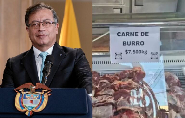 Cortes de carne de burro en una carnicería de Trelew, Chubut