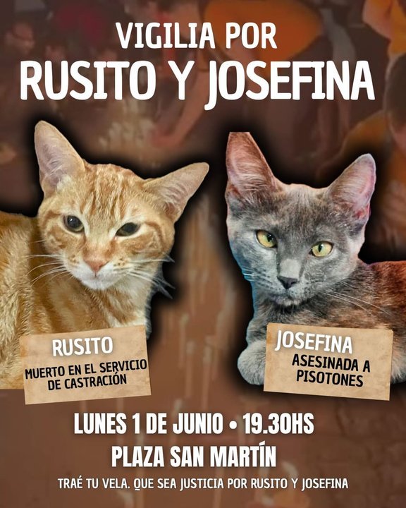 Manifestación en plaza San Martín de Comodoro Rivadavia por justicia animal
