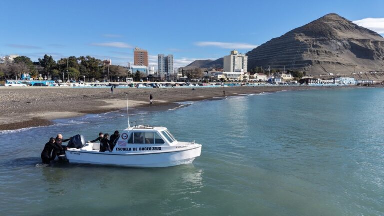 Lobos marinos en la costa de Comodoro Rivadavia, Golfo San Jorge