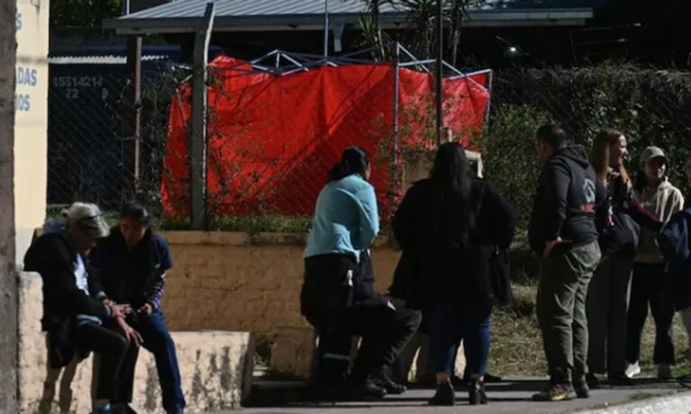 Imagen ilustrativa de un perro en un terreno baldío, alusión al ataque en Cosquín