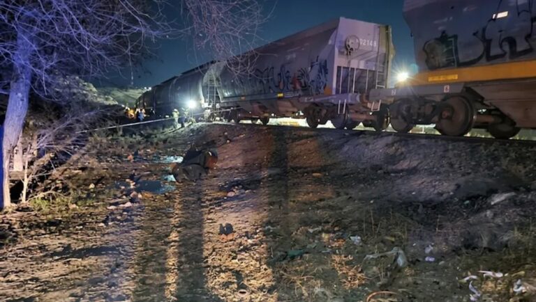 Tren de cargas detenido en vías durante el operativo policial en Villa Regina