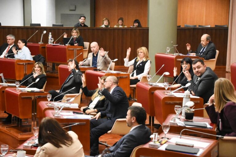 Sesión de la Legislatura de Chubut con diputados votando la Ley Antimafias