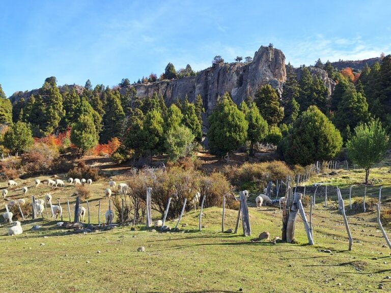 Formación rocosa Piedra de la Aguja en el paraje Alto Río Percy, Chubut