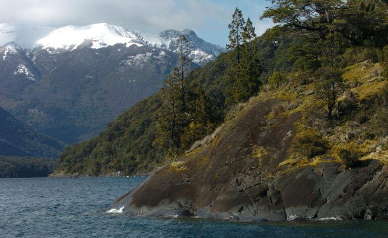 Bosque nativo en la provincia de Chubut
