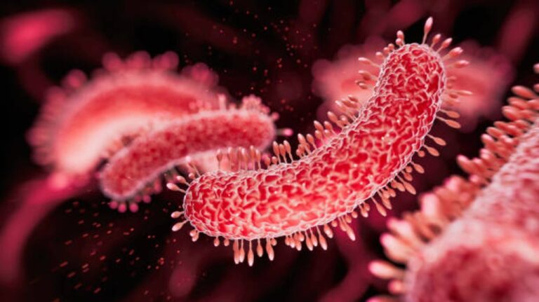 Médica neumonóloga infantil explica sobre tuberculosis en escuelas