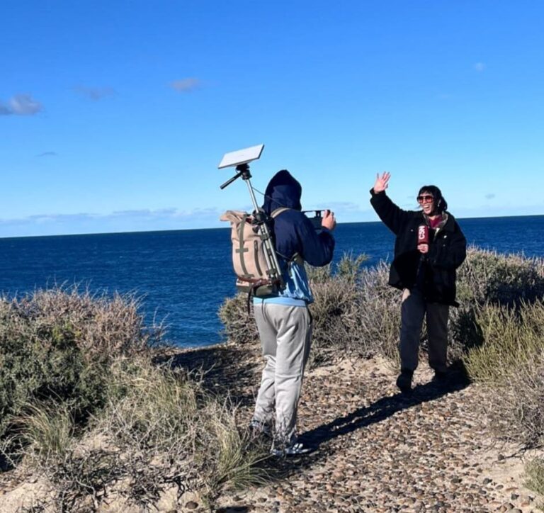 Avistaje de ballena franca austral en Puerto Madryn durante cobertura de C5N