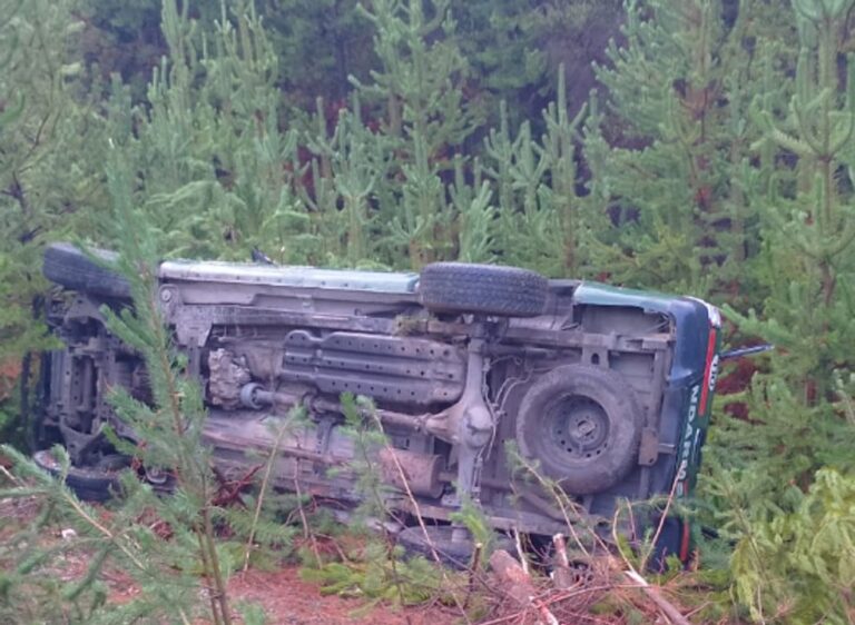 Camioneta de Gendarmería volcada en la Ruta Nacional 40 por hielo en la calzada