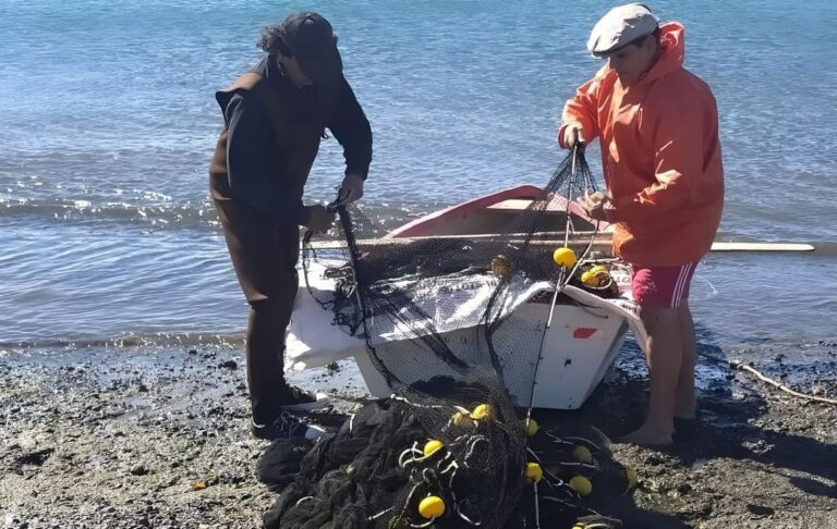 Buzo artesanal en el golfo San José, Chubut