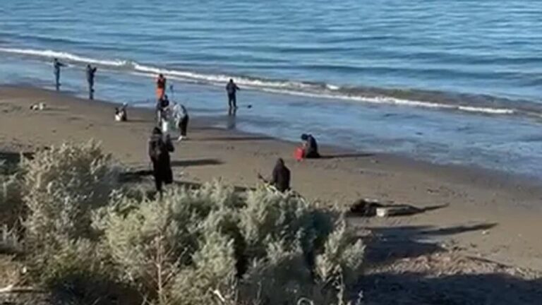 Personas recogiendo residuos en una playa de Comodoro Rivadavia durante una jornada de limpieza