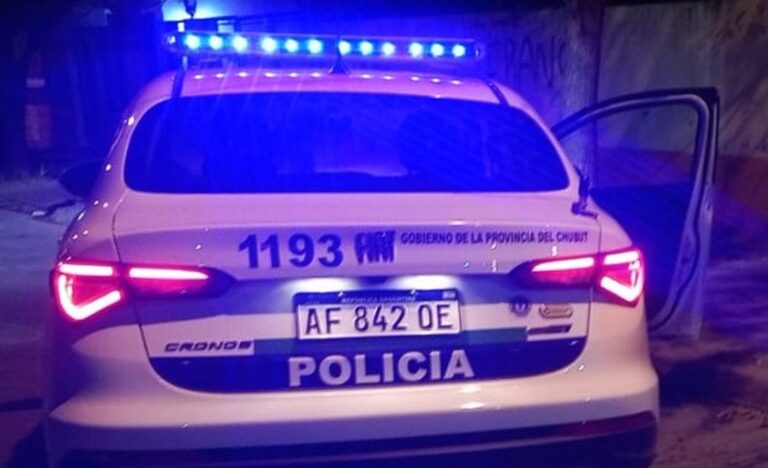 Fiat Uno gris similar al robado en El Hoyo