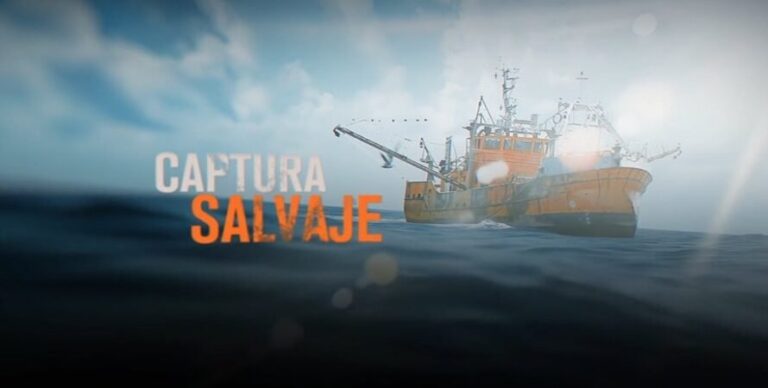 Proyección de Captura Salvaje en el Ecocentro de Puerto Madryn