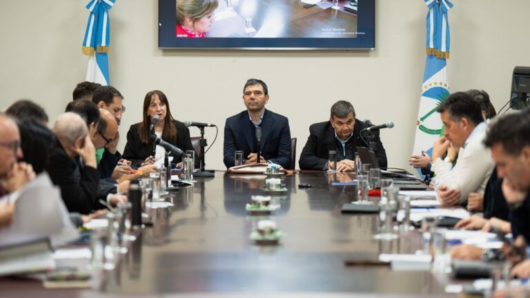 Gustavo Medele expone en la Legislatura neuquina sobre el acuerdo con YPF para GNL
