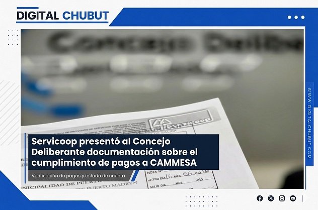 Documentación de Servicoop sobre pagos a CAMMESA presentada al Concejo Deliberante