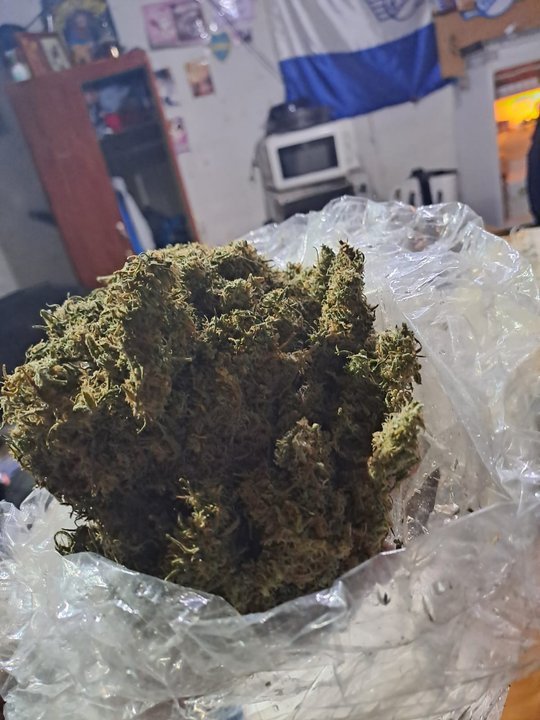 Procedimiento policial en Comodoro Rivadavia con drogas secuestradas
