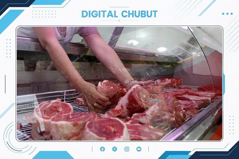 Gráfico de consumo de carne vacuna en Argentina durante el primer semestre de 2026