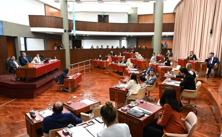 Diputada Andrea Toro en la Legislatura de Chubut