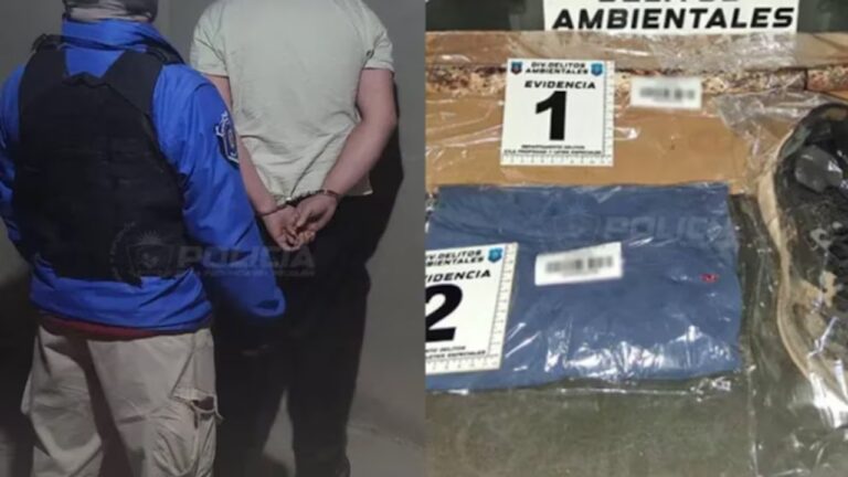 Cámaras de seguridad captan a un hombre golpeando a un perro con un caño de hierro en la vía pública de Neuquén