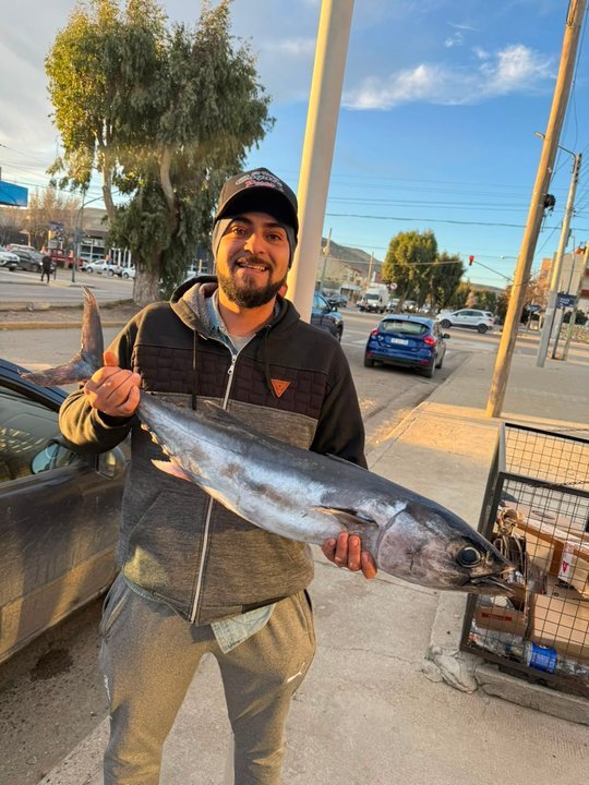 Pez bonito capturado por Maximiliano Bruno en Punta del Marqués