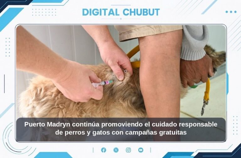 Perro y gato con fondo de la Municipalidad de Puerto Madryn