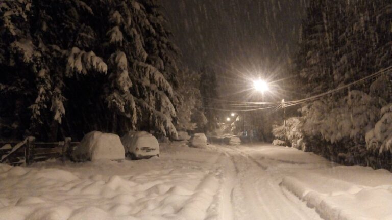 Vista de una calle cubierta de nieve en la Comarca Andina