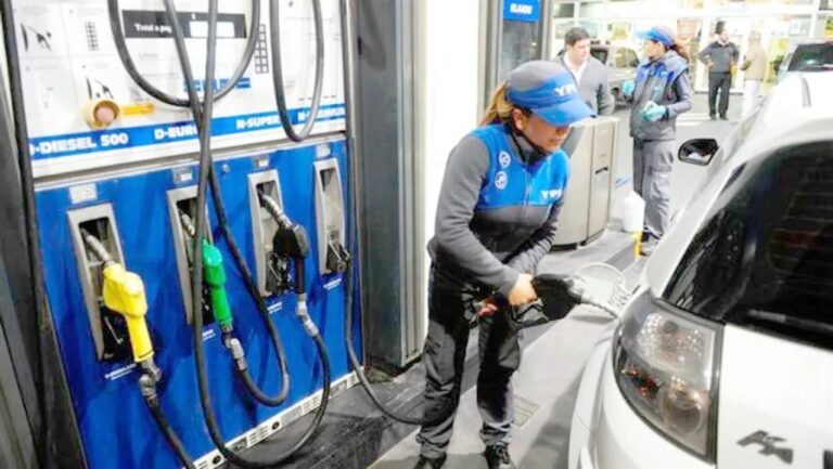Estación de servicio con surtidores en la provincia de Neuquén