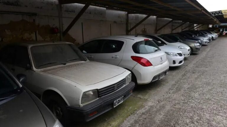 Citroën C4 dañado por inundación en Neuquén