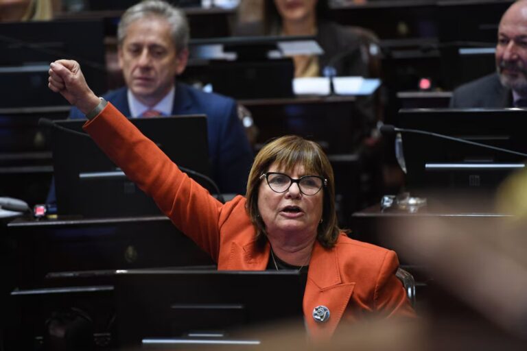 Patricia Bullrich en el Senado