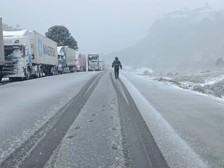 Ruta cordillerana cubierta de nieve durante el temporal