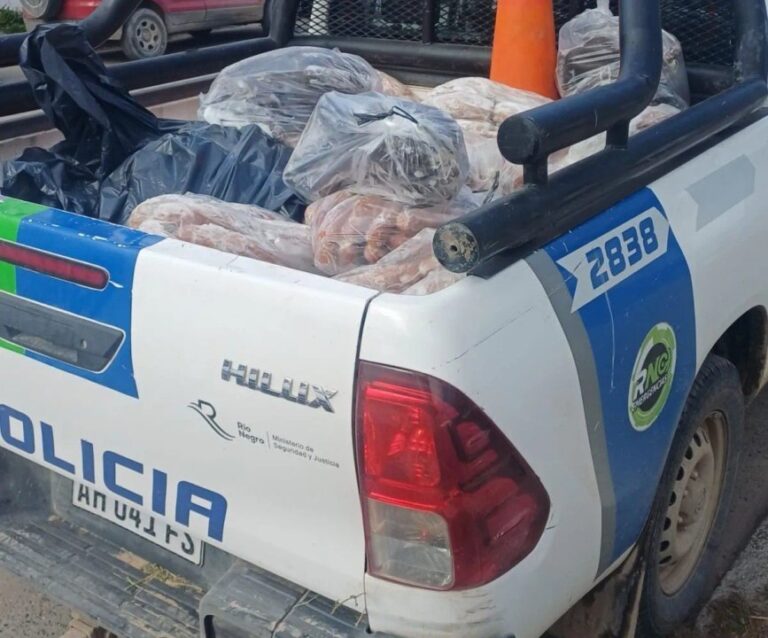 Operativo de control en carnicería de Río Negro