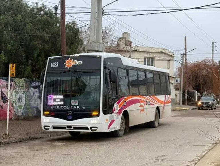 Colectivo urbano en Comodoro Rivadavia