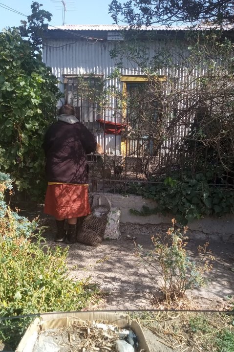 Vecinos y proteccionistas asisten a gatos en Km. 3, Comodoro Rivadavia