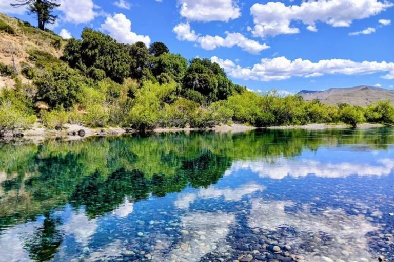 Vista del río Chimehuín en el Área Natural Protegida Boca del Chimehuín