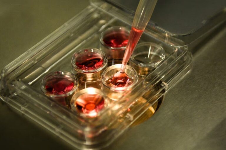 Embriones criopreservados en laboratorio