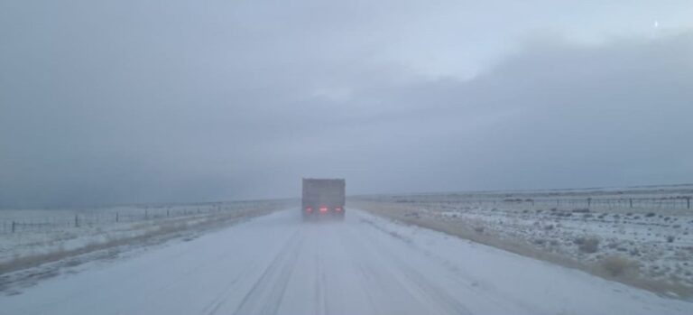 Ruta nacional con nieve y escarcha en Chubut