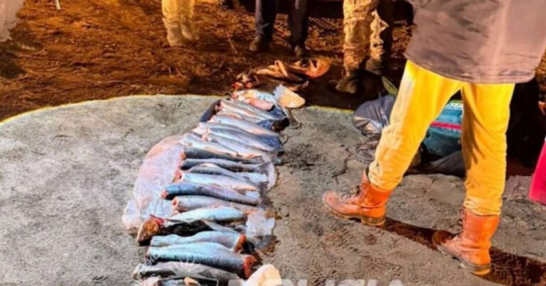 Operativo de control de pesca en Piedra del Águila