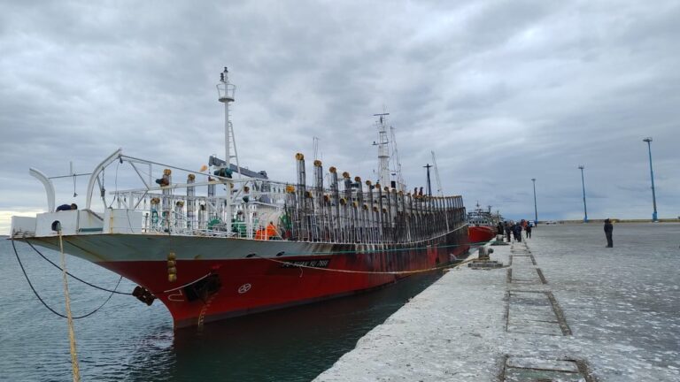 Buque de carga en un puerto argentino