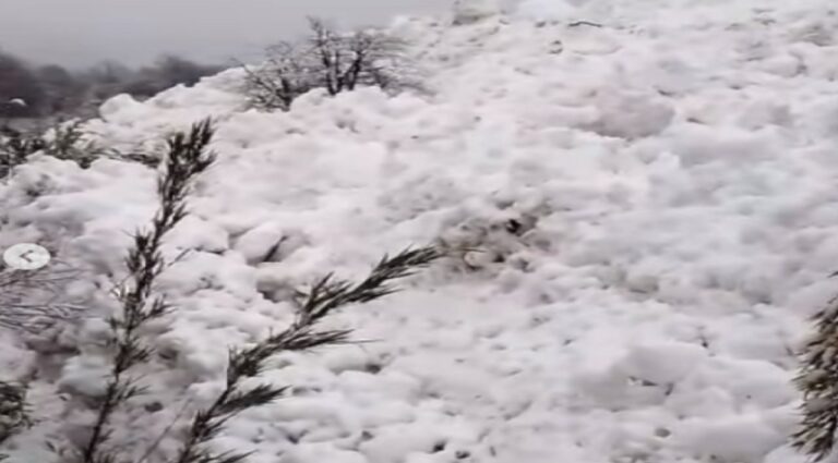 Vista del cerro Tronador cubierto de nieve
