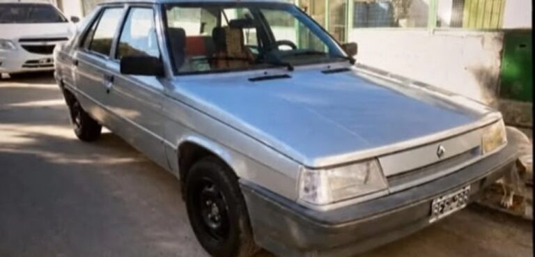Auto Renault 9 gris similar al robado en Comodoro
