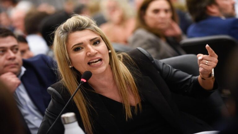 Senadora Nadia Márquez en el Congreso